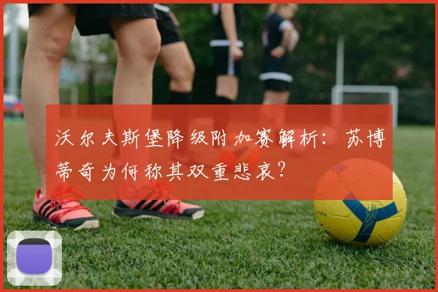 沃尔夫斯堡降级附加赛解析：苏博蒂奇为何称其双重悲哀？