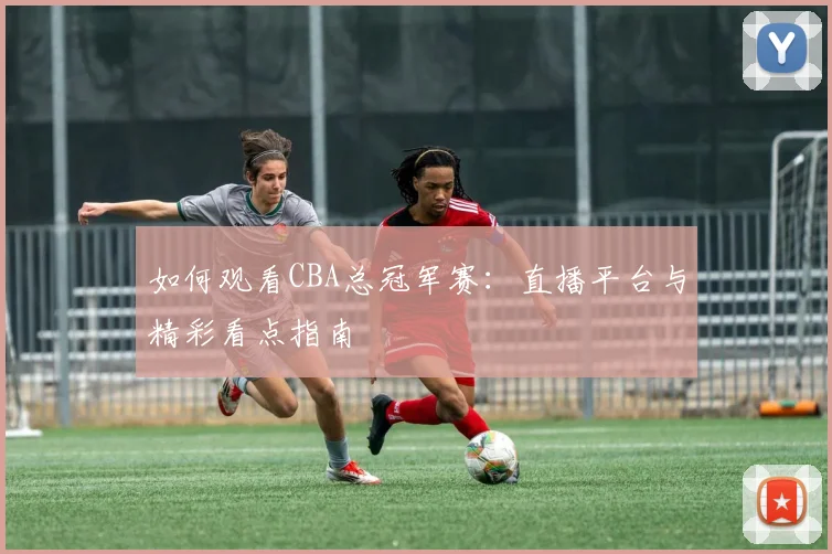 如何观看CBA总冠军赛:直播平台与精彩看点指南