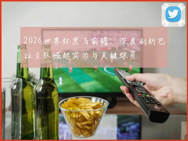 2026世界杯黑马前瞻:深度剖析巴拉圭队崛起实力与关键球员