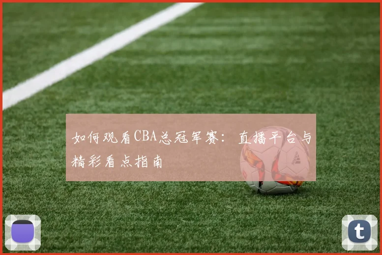 如何观看CBA总冠军赛：直播平台与精彩看点指南