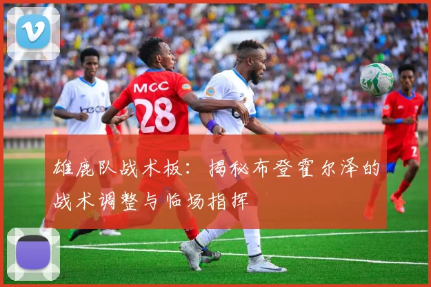雄鹿队战术板：揭秘布登霍尔泽的战术调整与临场指挥