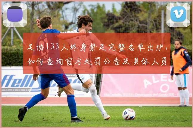足协133人终身禁足完整名单出炉，如何查询官方处罚公告及具体人员？